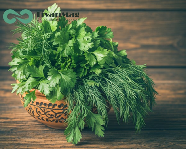 استفاده از سبزیجات معطر در دستور پخت مرغ ناردونی مجلسی 